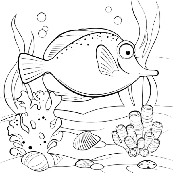 Free Fish Picture To Color In