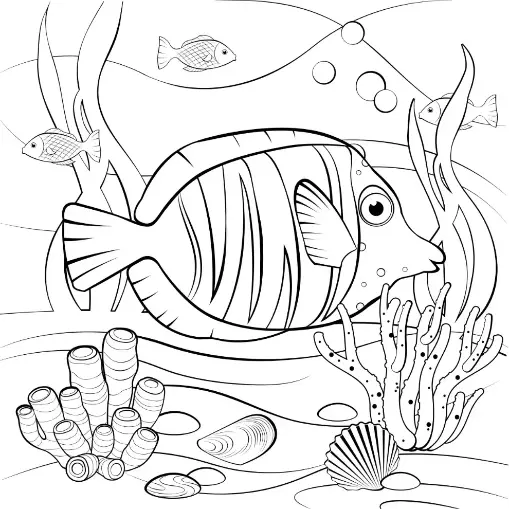 Free Fish Picture To Color In