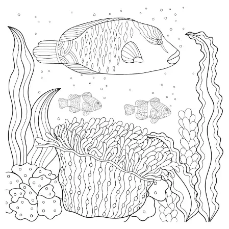 Free Fish Picture To Color In