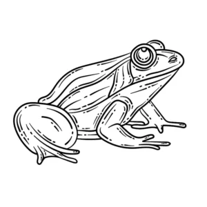 Free Frog Picture To Color In