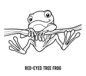 Free Frog Picture To Color In