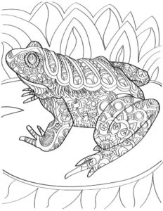 Free Frog Picture To Color In