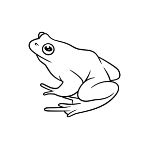 Free Frog Picture To Color In