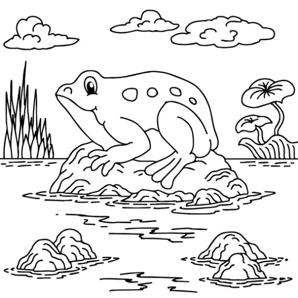 Free Frog Picture To Color In