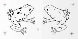 Free Frog Picture To Color In