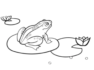 Free Frog Picture To Color In