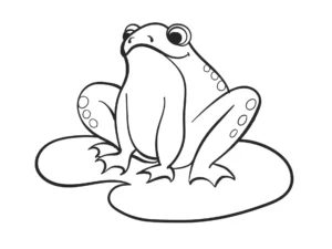 Free Frog Picture To Color In