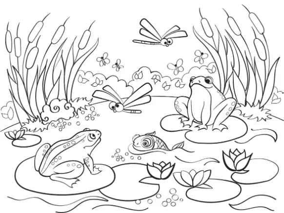 Free Frog Picture To Color In