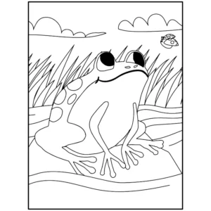 Free Frog Picture To Color In