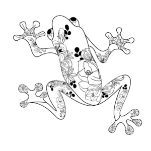 Free Frog Picture To Color In