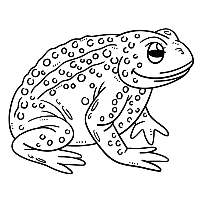 Free Frog Picture To Color In