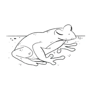 Free Frog Picture To Color In