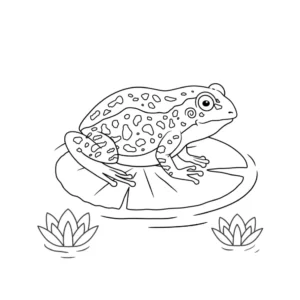 Free Frog Picture To Color In