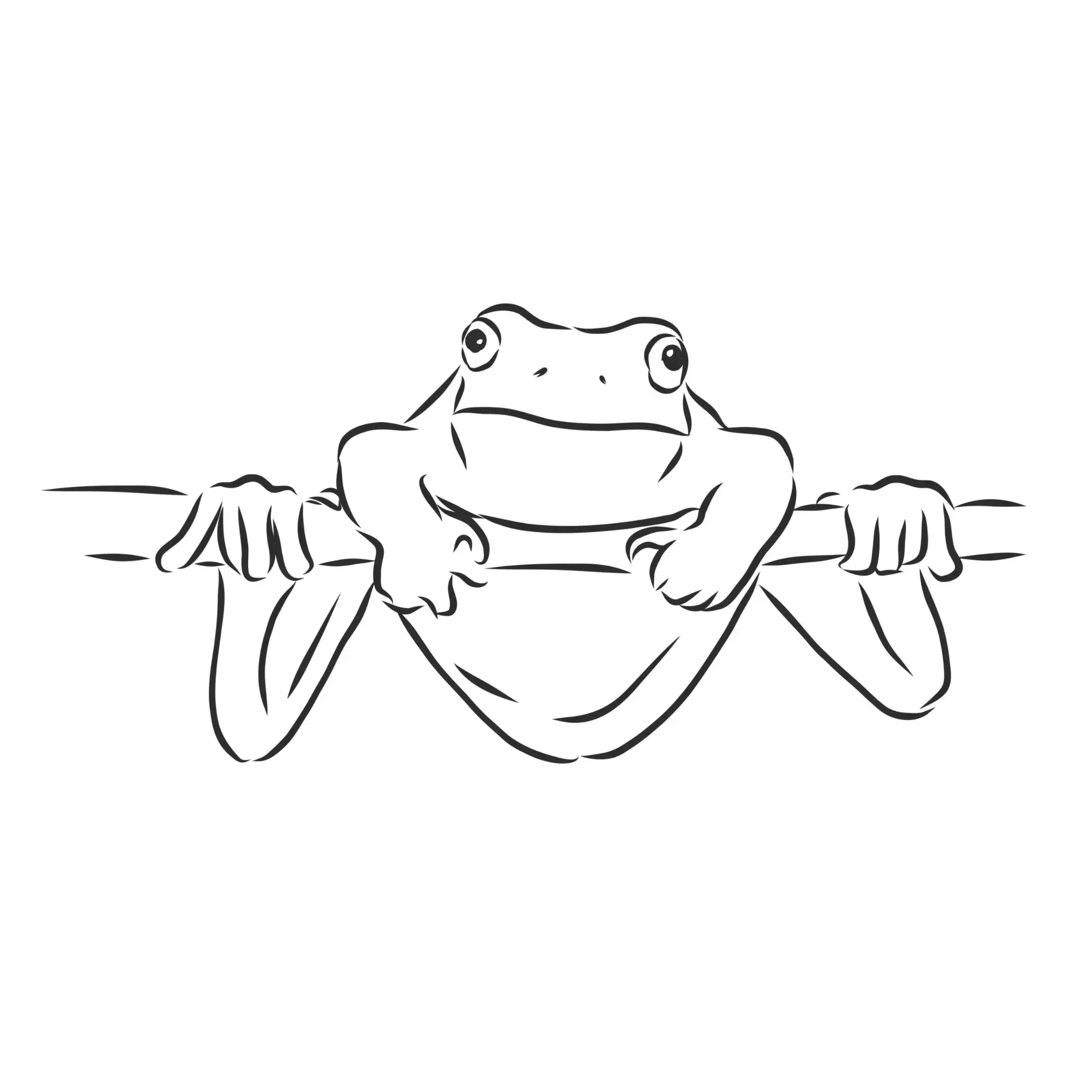 Free Frog Picture To Color In