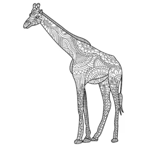 Free Giraffe Picture To Color In