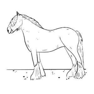 Free Horse Picture To Color In