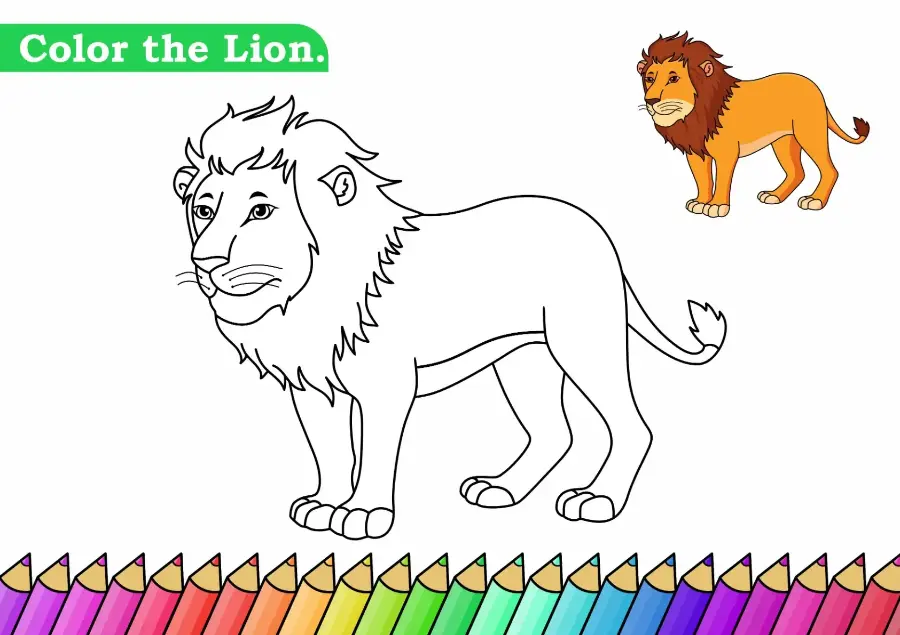 Free Lion Picture To Color In