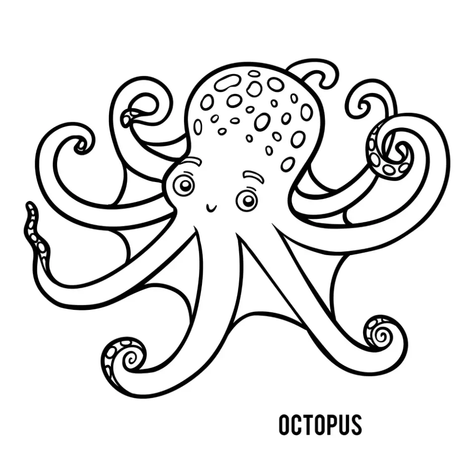 Free Octopus Picture To Color In