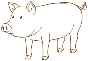 Free Pig Picture To Color In