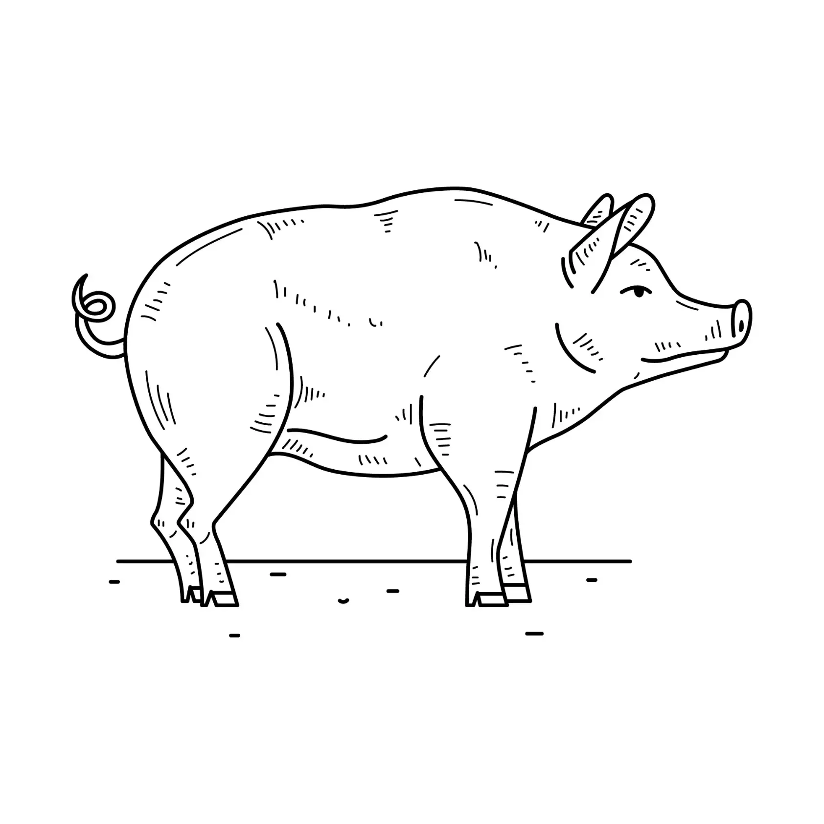 Free Pig Picture To Color In