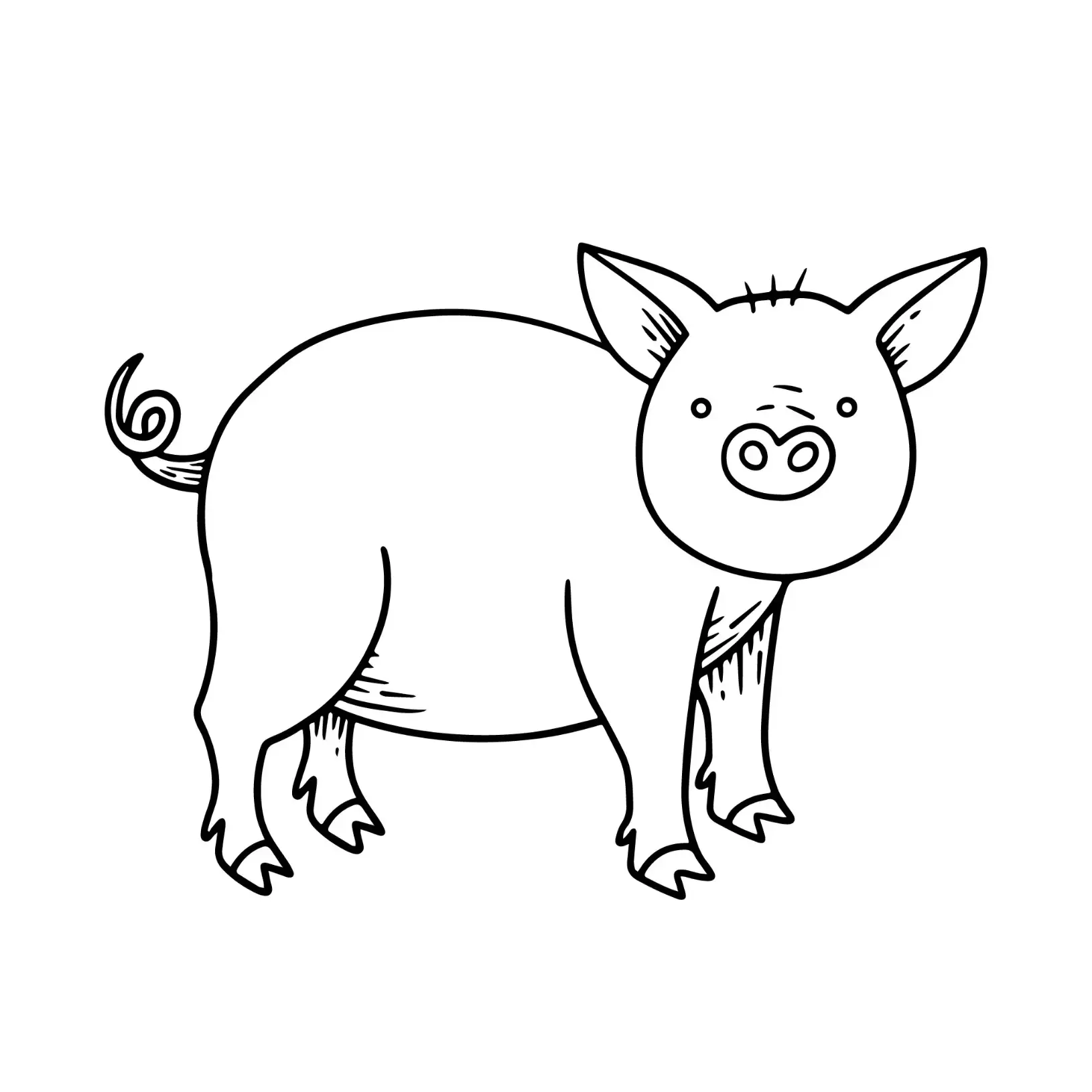 Free Pig Picture To Color In