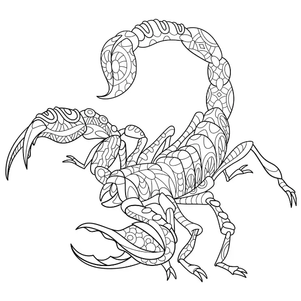 Free Scorpion Picture To Color In