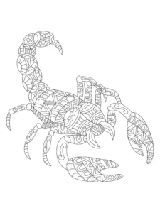 Free Scorpion Picture To Color In