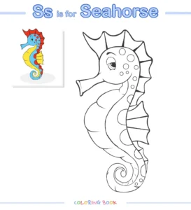 Free Seahorse Picture To Color In