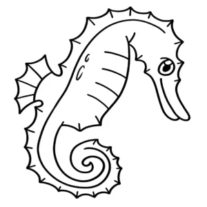 Free Seahorse Picture To Color In