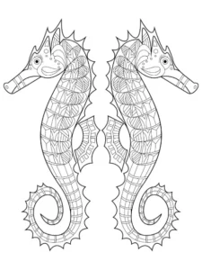 Free Seahorse Picture To Color In