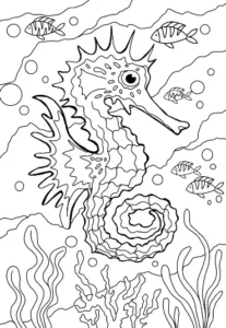 Free Seahorse Picture To Color In