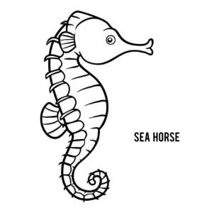 Free Seahorse Picture To Color In