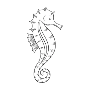 Free Seahorse Picture To Color In