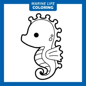 Free Seahorse Picture To Color In