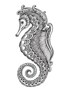 Free Seahorse Picture To Color In