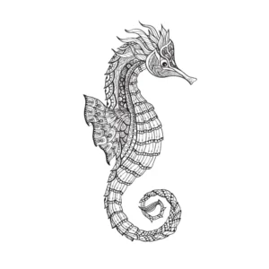 Free Seahorse Picture To Color In