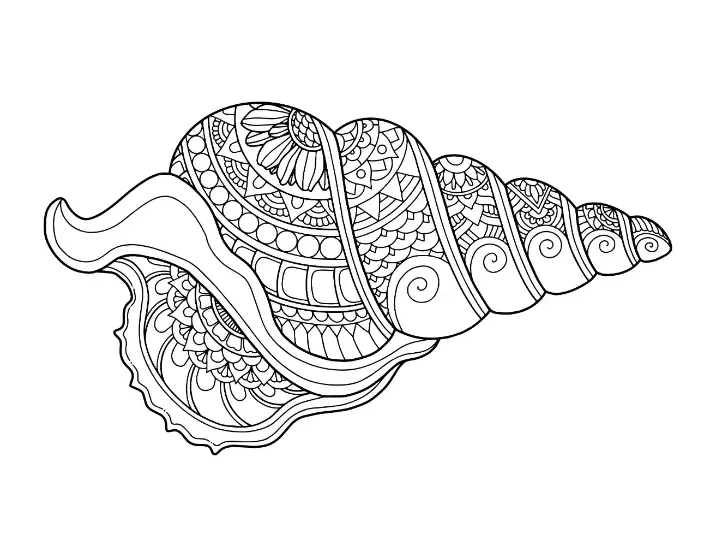 Free Shell Picture To Color In