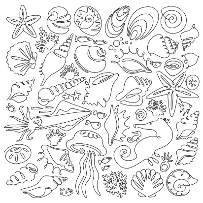 Free Shell Picture To Color In