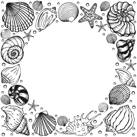 Free Shell Picture To Color In