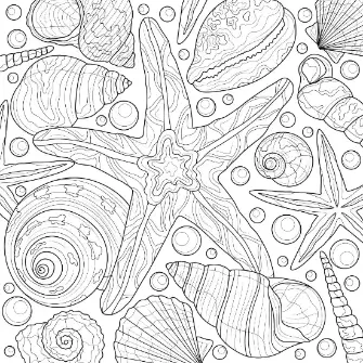 Free Shell Picture To Color In