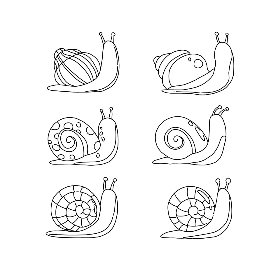 Free Snail Picture To Color In