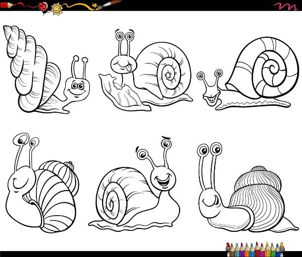 Free Snail Picture To Color In