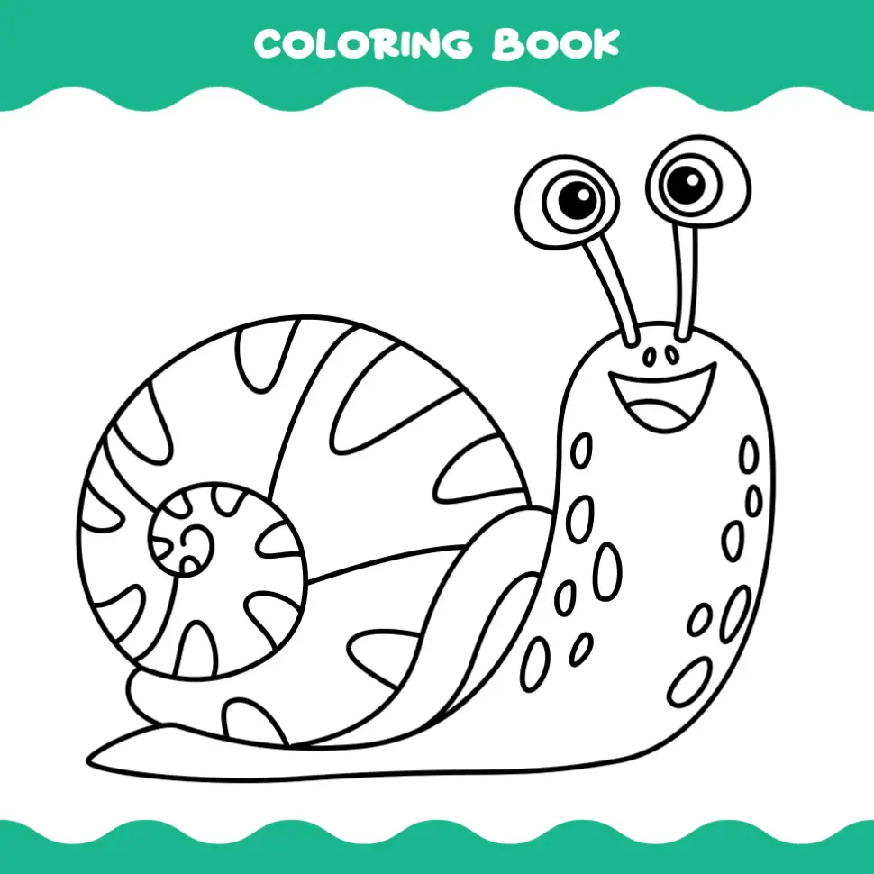 Free Snail Picture To Color In