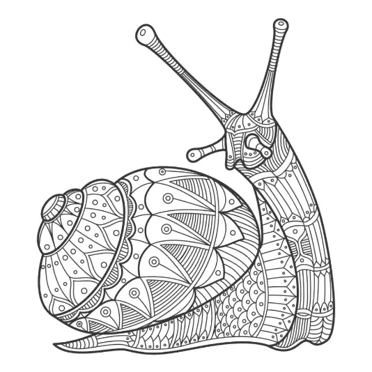 Free Snail Picture To Color In