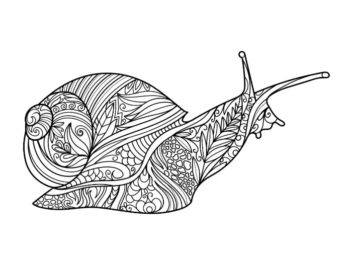 Free Snail Picture To Color In