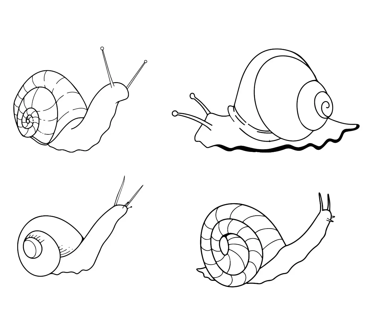 Free Snail Picture To Color In