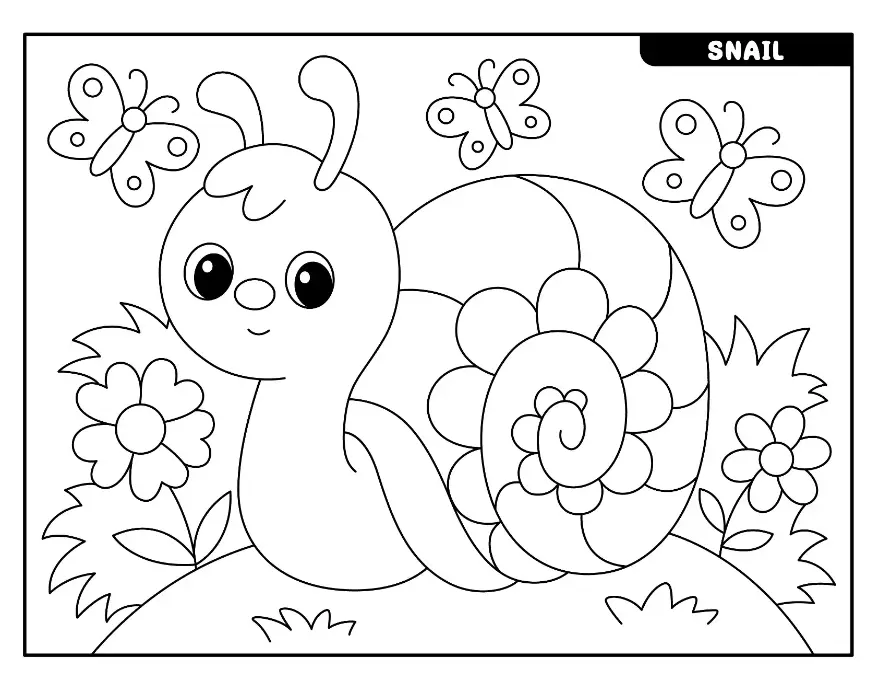 Free Snail Picture To Color In