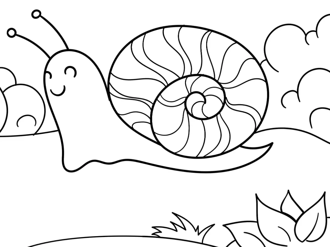 Free Snail Picture To Color In