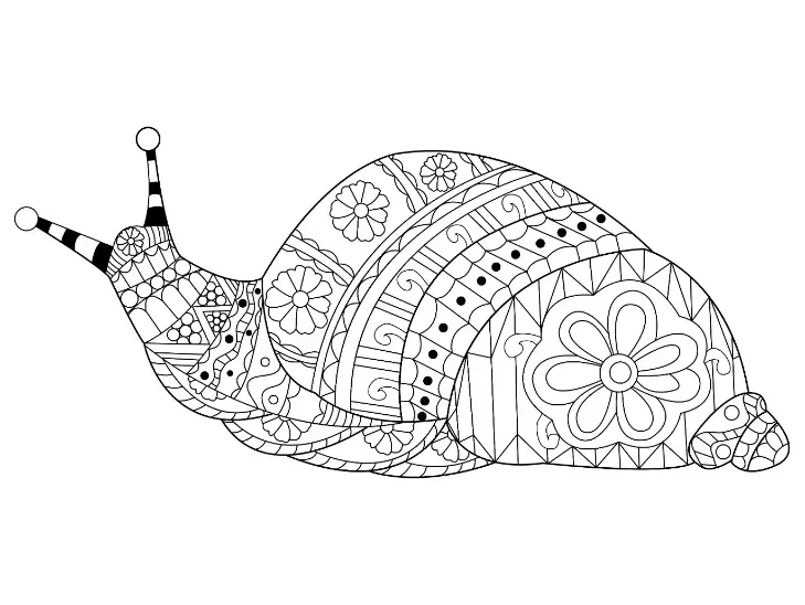 Free Snail Picture To Color In