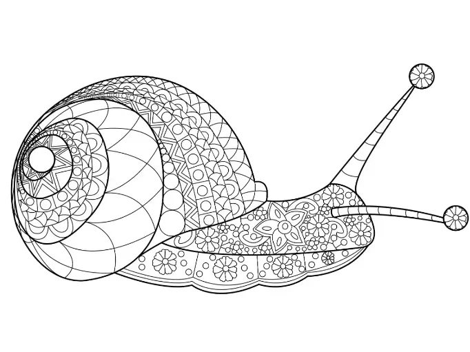 Free Snail Picture To Color In